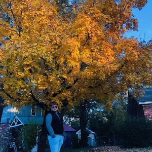 Meet your Posher, Phong